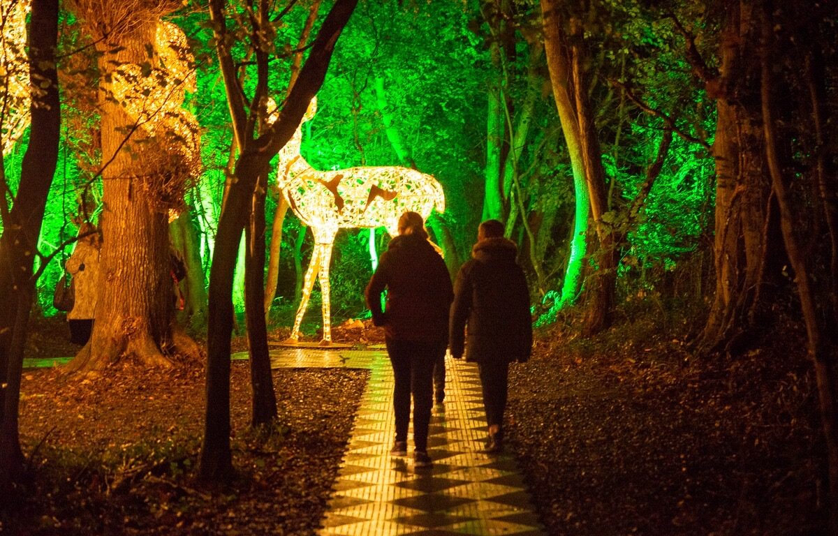 Wonderlights, Malahide Castle and Gardens, Co Dublin ( with a new show this Winter)_master